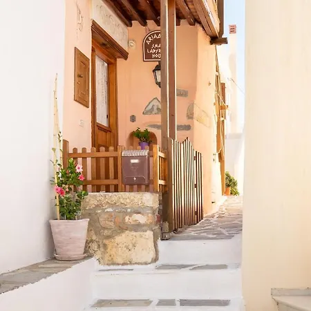 Ariadne's Small Labyrinth House